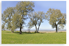 Les Habitations Au Fil du Fleuve